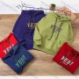 Wholesale Boy's Casual Drawstring Letter Graphic Long Sleeve Kangaroo Pocket Hoodie s2302# preview