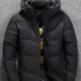 Wholesale Men's Casual Hooded Long Sleeve Thermal Lined Plain Puffer Jacket preview